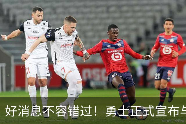 好消息不容错过！勇士正式宣布与库里续约